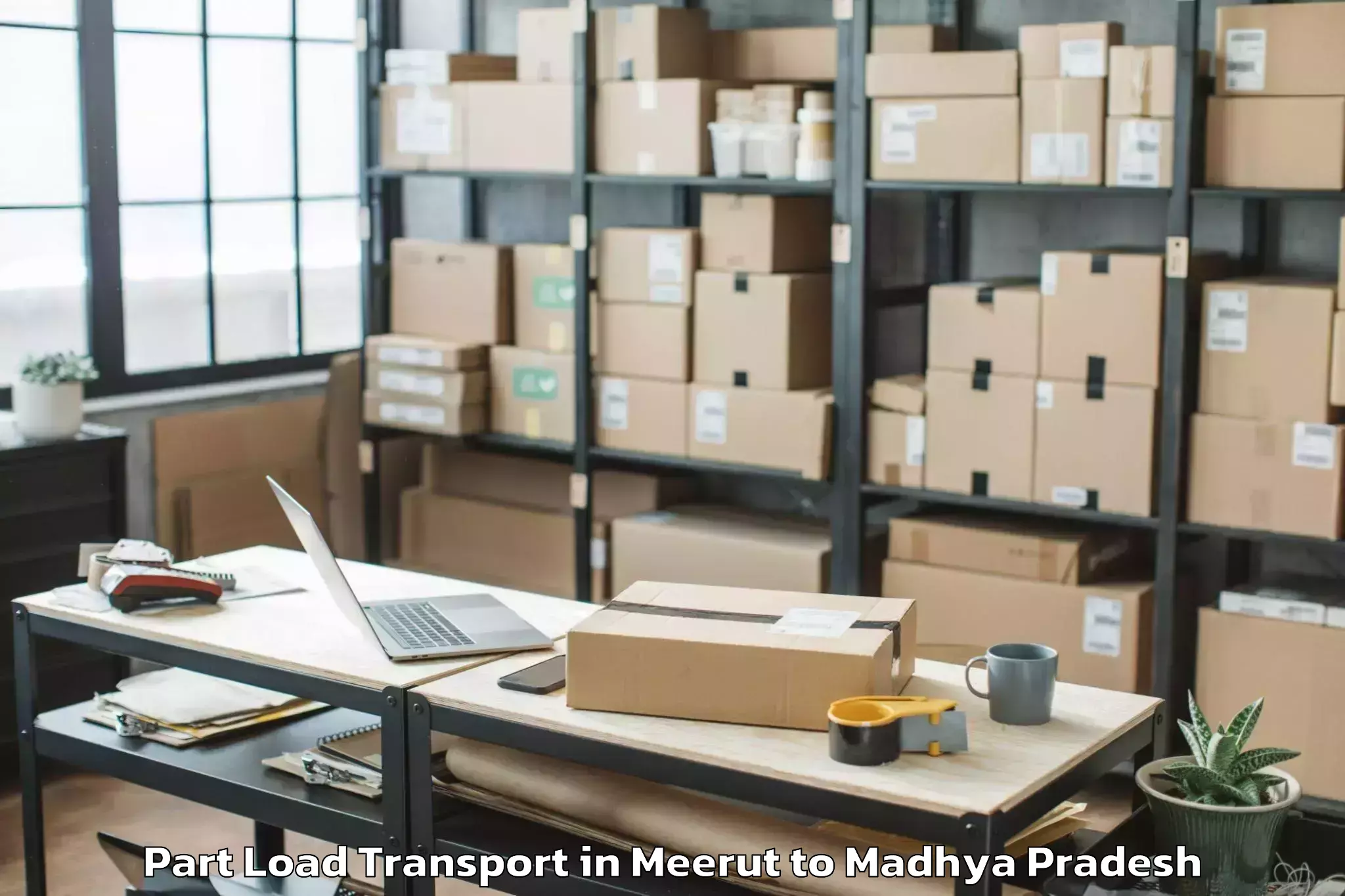 Reliable Meerut to Khilchipur Part Load Transport